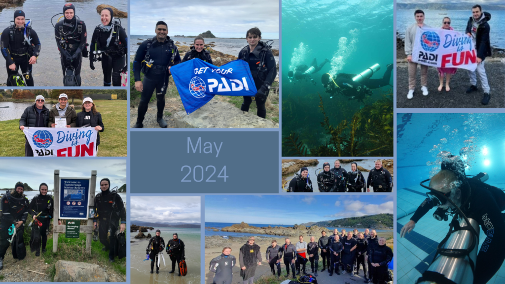 A collage of diver photos showing what we got up to at Dive HQ Wellington in May