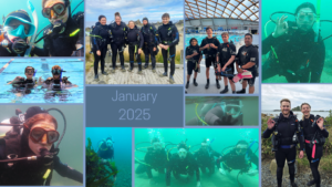 Collage of our divers out diving in January 2025