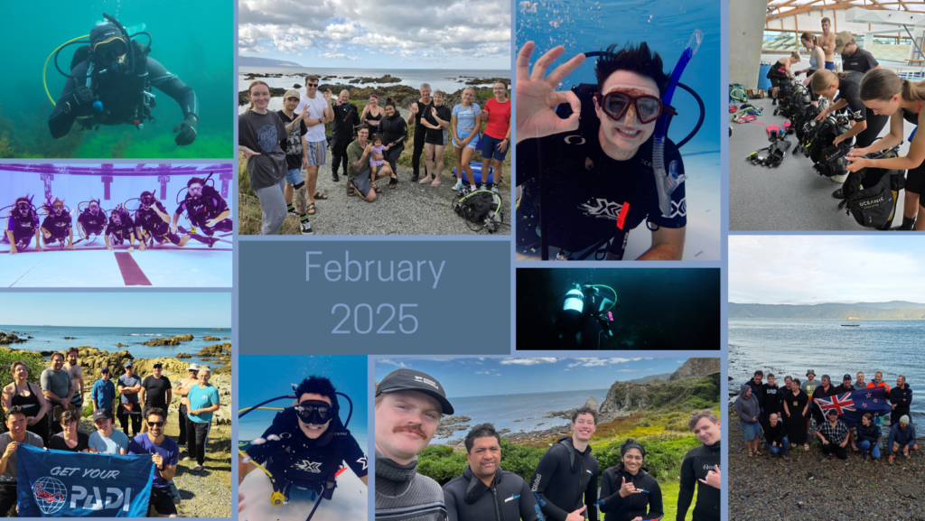 A collage of Wellington divers at the pool. beach & underwater showing what we get up to,