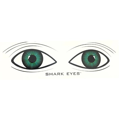 Shark Eyes Decal Sticker - Medium