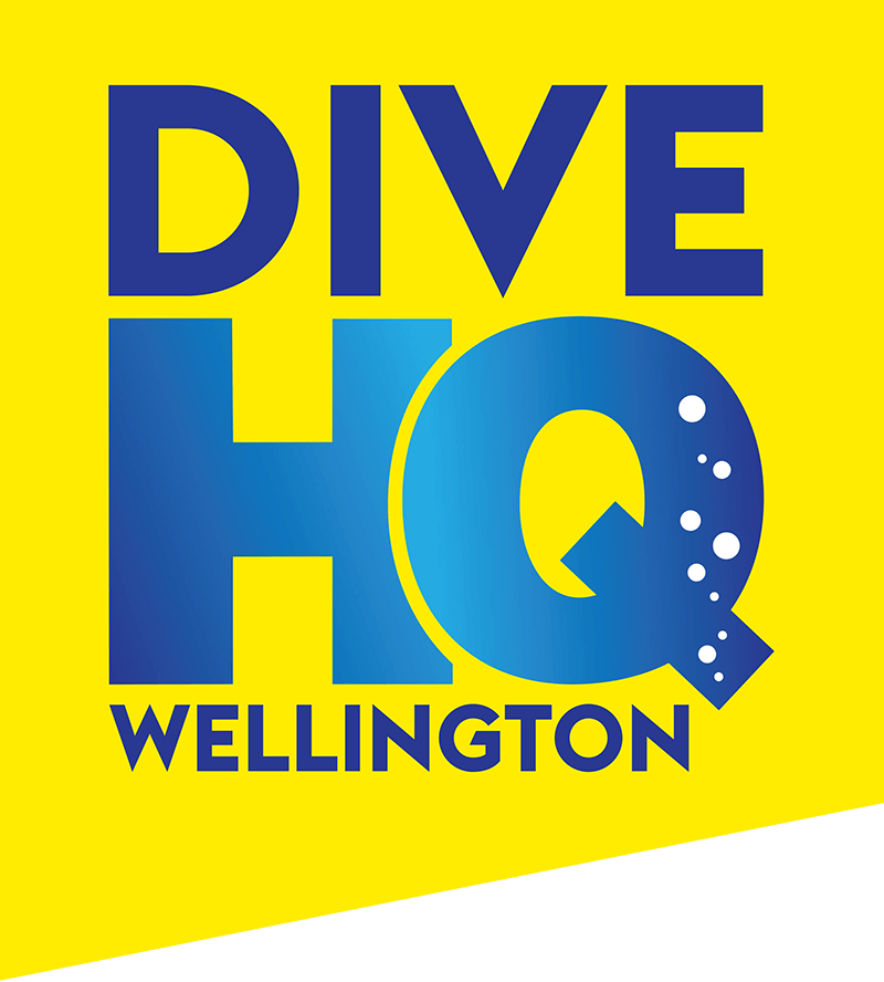 Dive HQ Logo