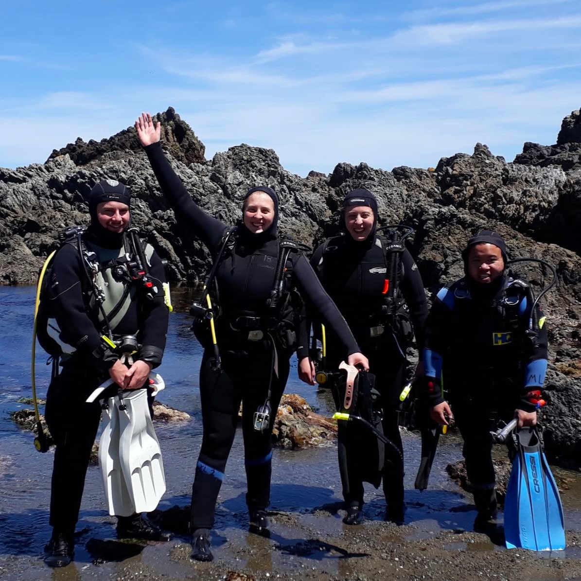 Open Water Divers at the beach in Wellington